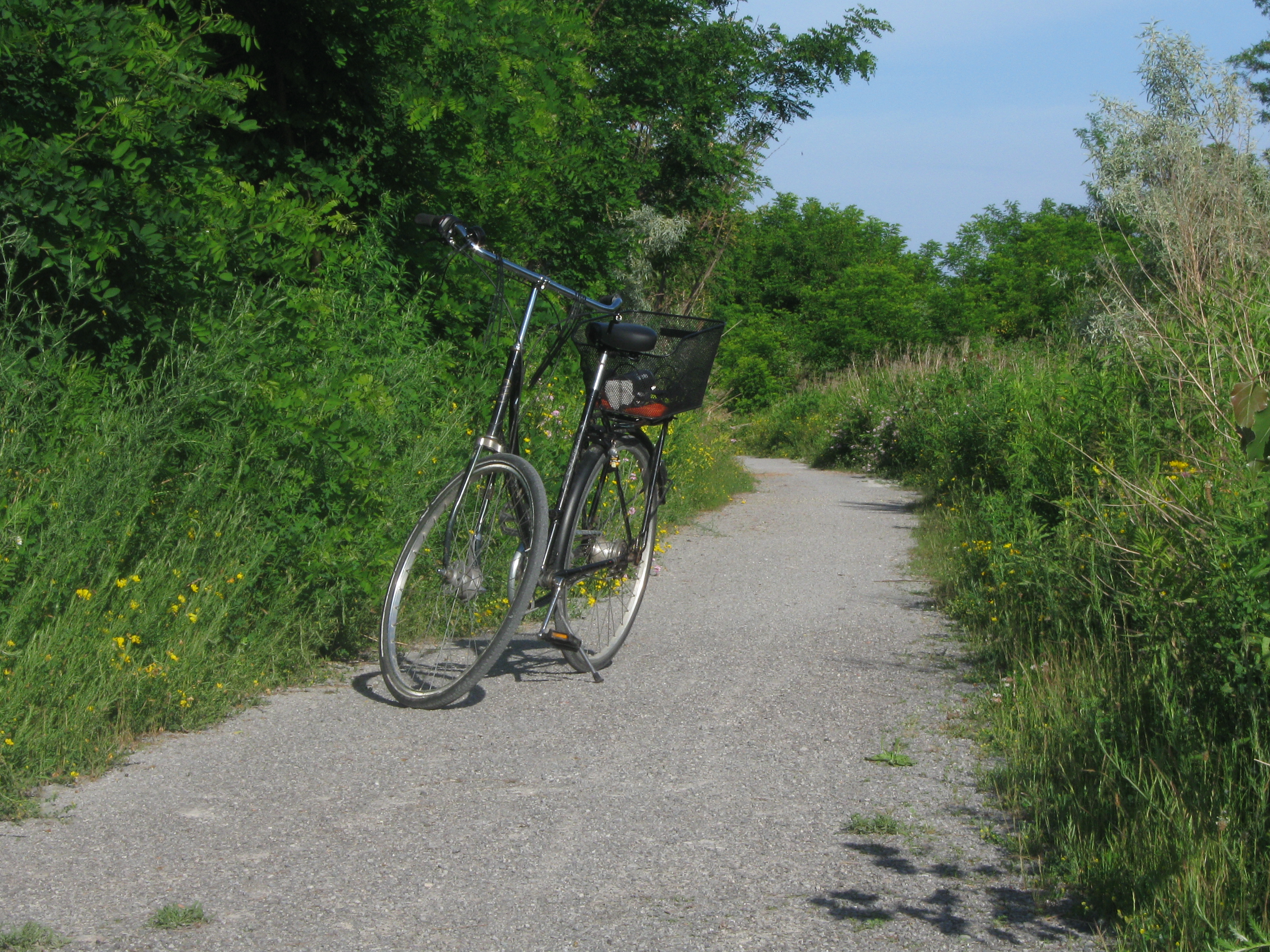 my beloved dutch bicycle at the leslie spit